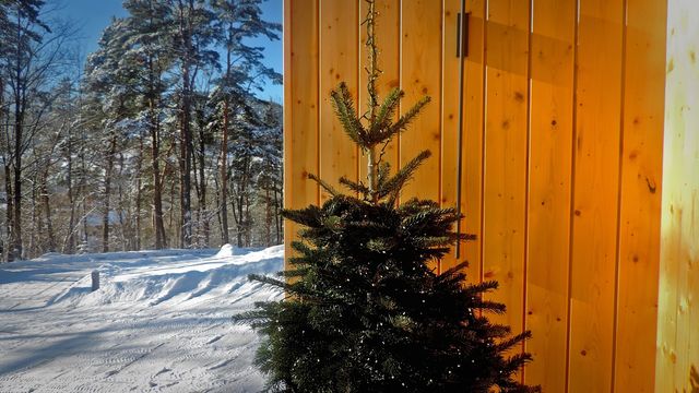 Forest Inn – na zewnątrz – zdjęcie 3