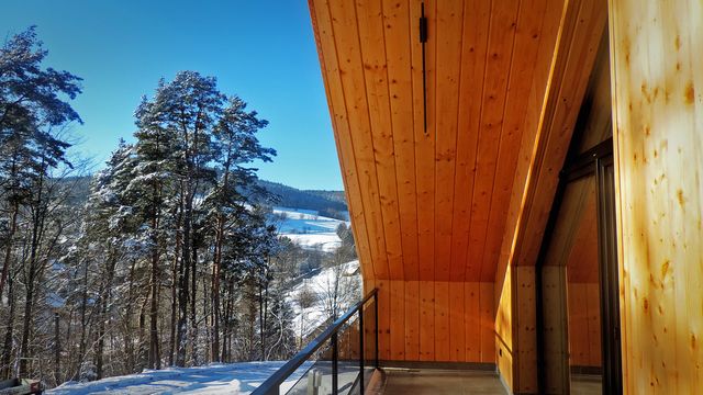 Forest Inn – na zewnątrz – zdjęcie 6